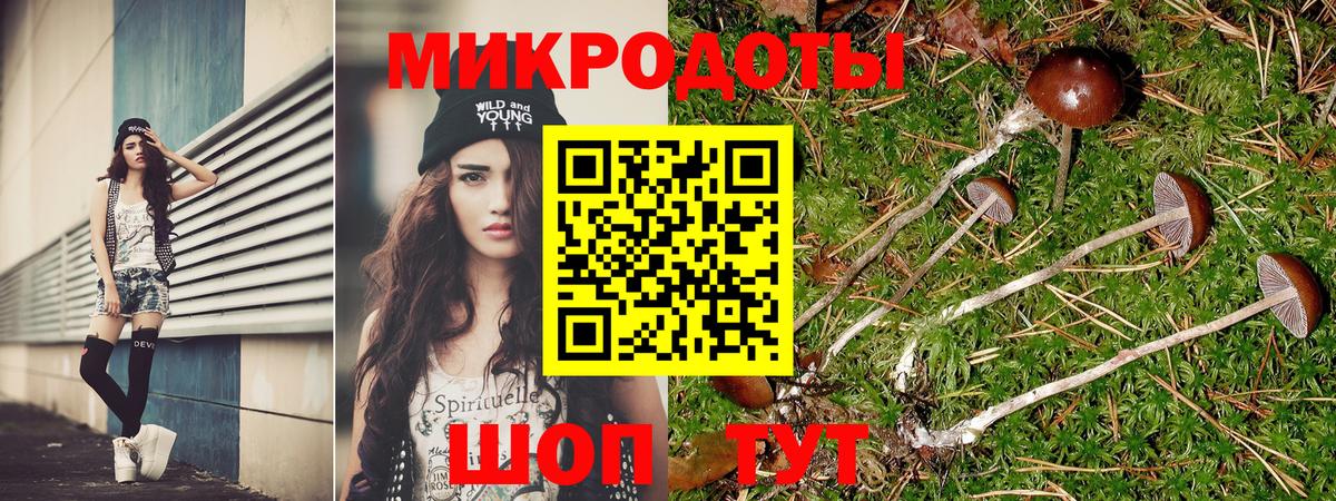 Галлюциногенные грибы прущие грибы Королёв